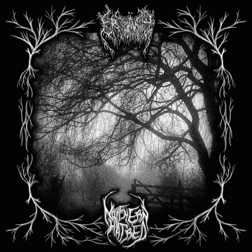 Erzahle : Into Obscure Realms